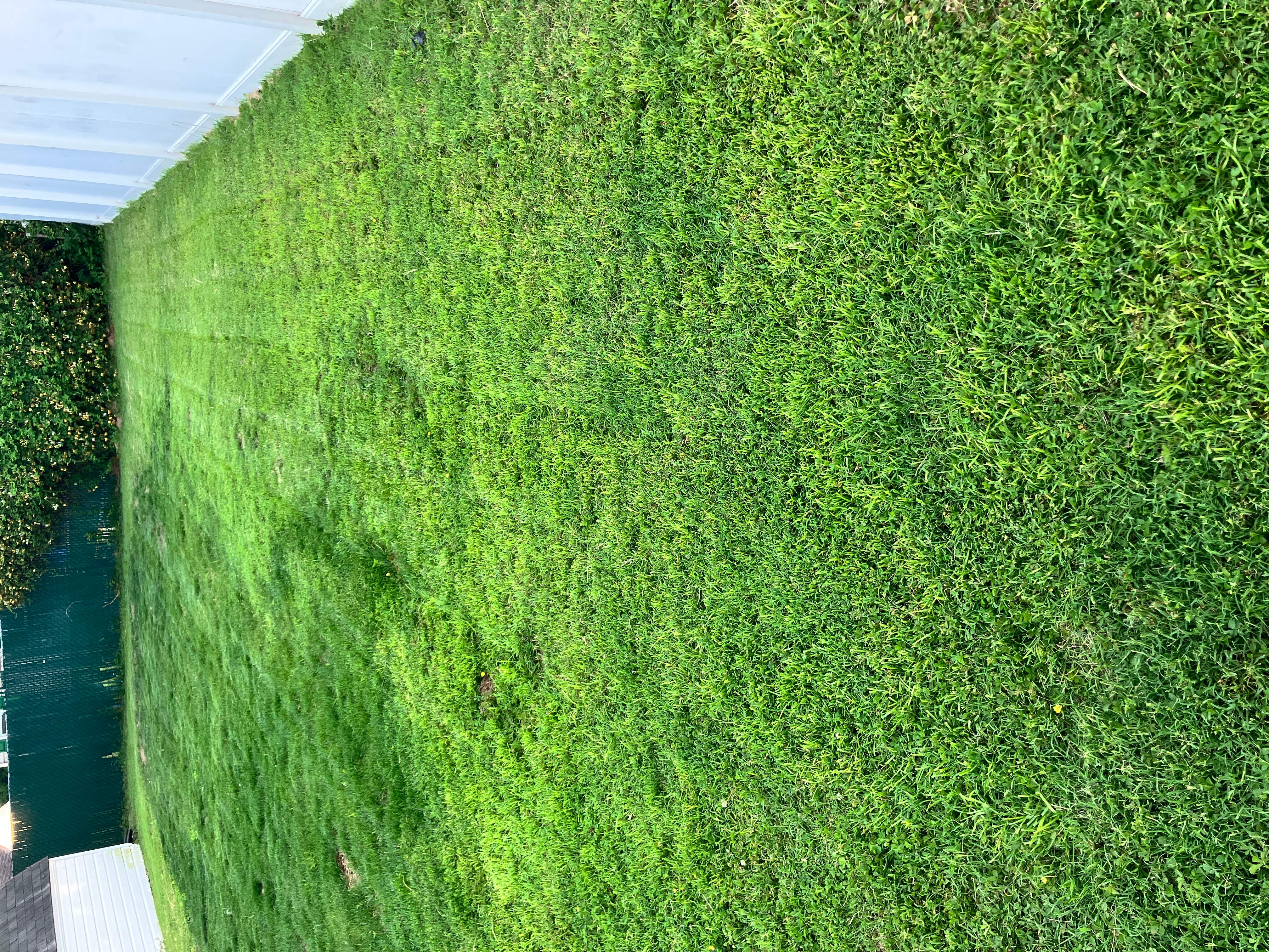 Beautifully maintained lawn after professional mowing, trimming, and edging by Summit Property Care in Delaware County, PA